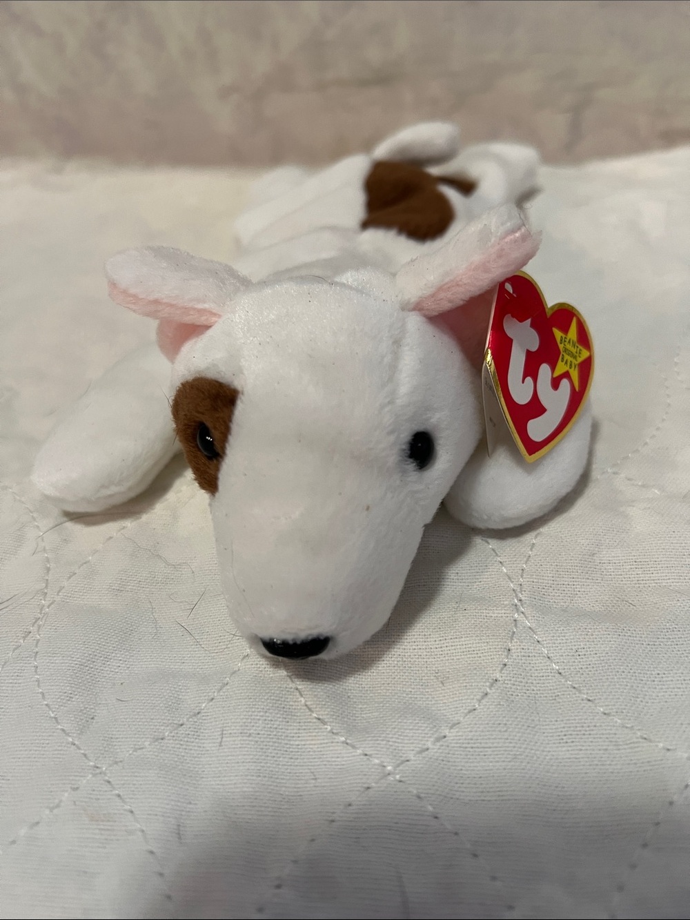 Butch Ty Beanie Baby